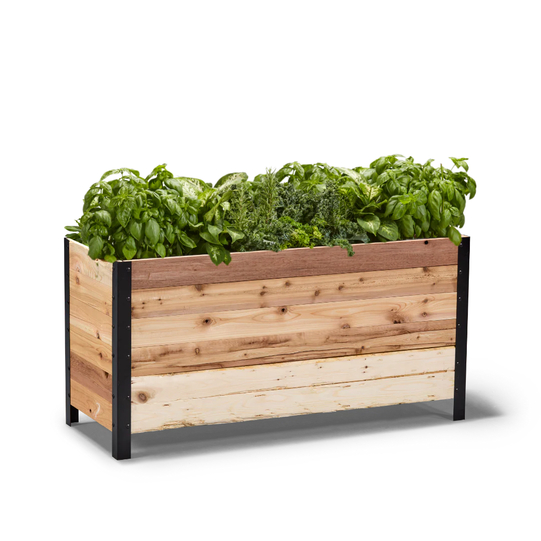 Planter Boxes
