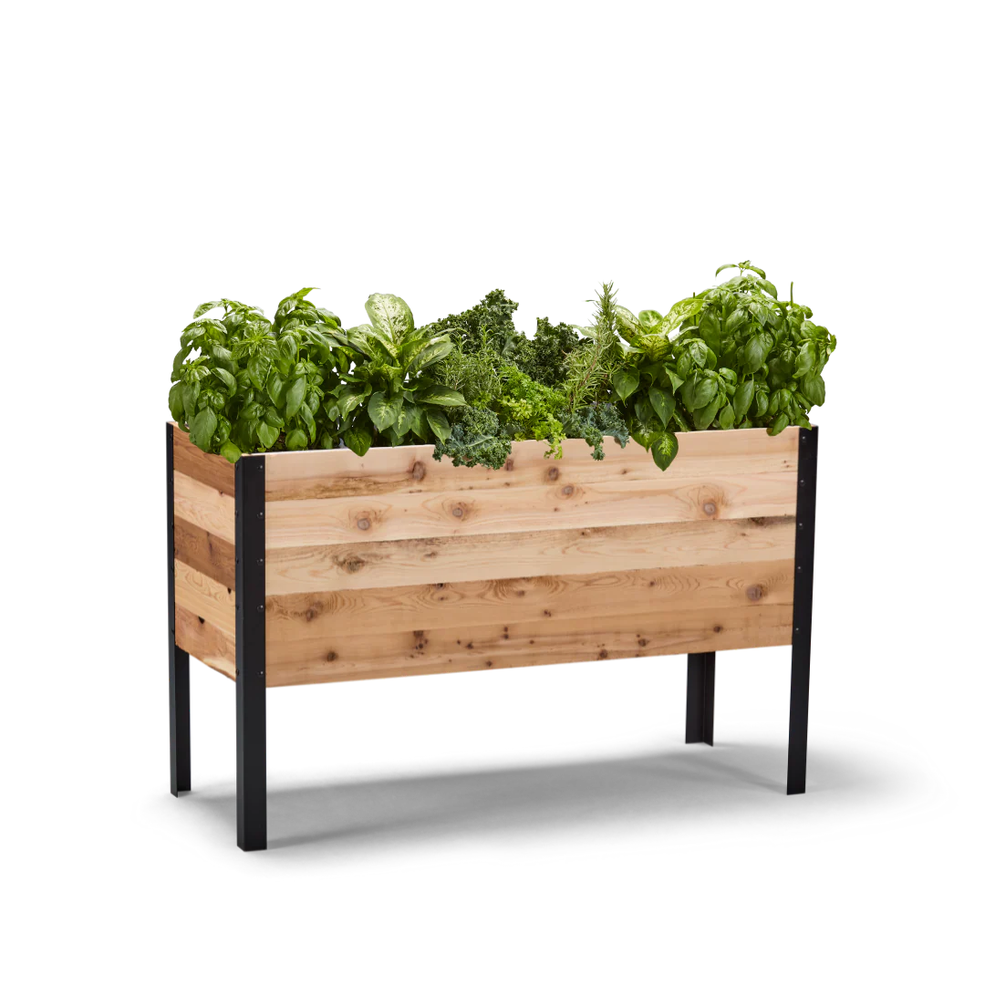 Raised Gardens